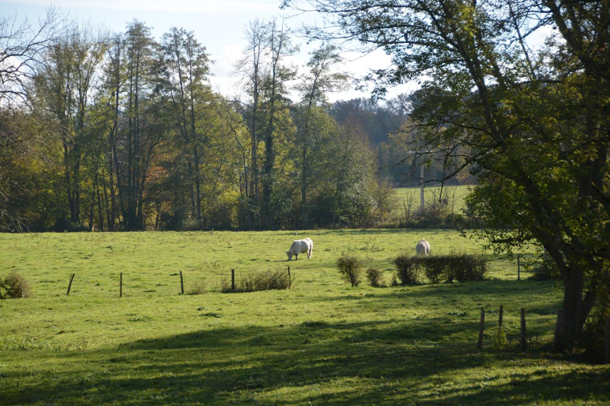 Le Moulin Grenon Bed and Breakfast Mézilles Exteriör bild